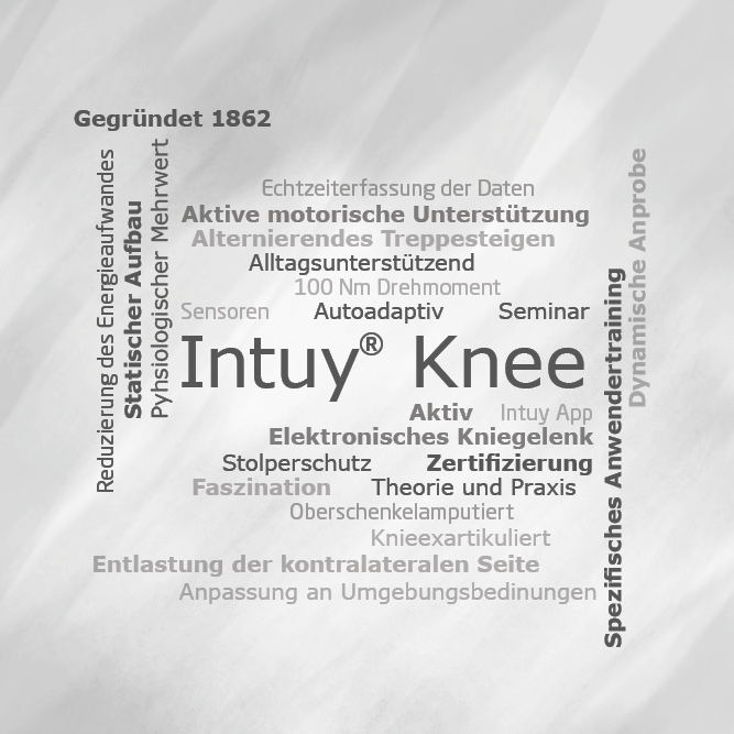 Intuy Knee